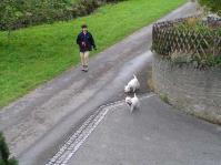 Klik op de foto voor groter formaat